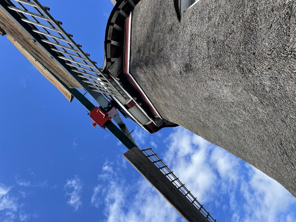 Reetgedeckter Achtkant und zwei Segelgatterflügel vor blauem Himmel